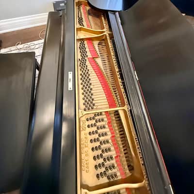 Steinway & Sons grand piano 85 keys image 10