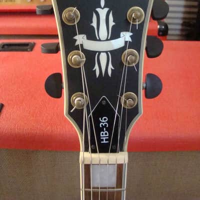 Washburn HB-36 2018 - Vintage Matte Tabacco Sunburst with Original Hard Shell Case Mint-New image 3
