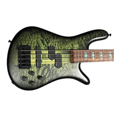 Spector USA NS-2, Haunted Moss / Pau Ferro *On Order, ETA November 2026 image 1