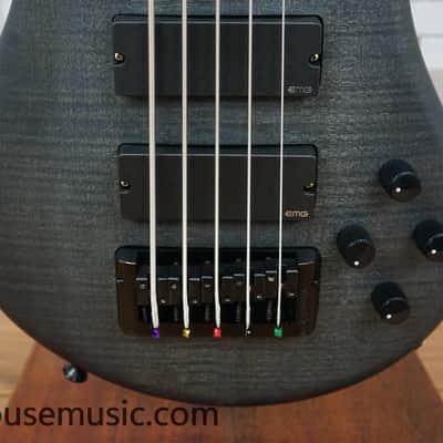 Immagine Spector Euro 5 LX - Trans Black Stain Matte - 7