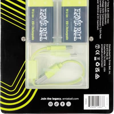 Ernie Ball USB-C Rechargeable Battery by Paleblue - 9V, 2-pack image 7