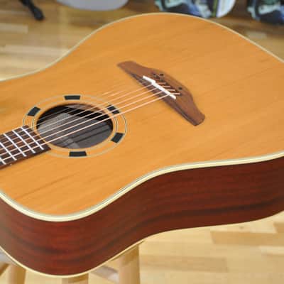 TAKAMINE N10 / Made In Japan / Acoustic Folk Deadnought Guitar / N-10 from 2001 image 6