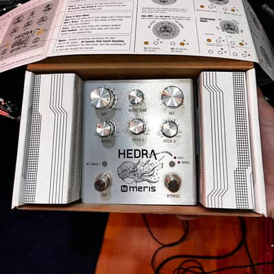 Meris Hedra 3-Voice Rhythmic Pitch Shifter 2019 - Silver image 6