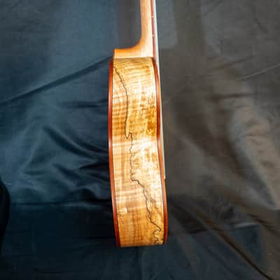 Cordoba 24T cedar top spalted maple tenor ukulele image 2