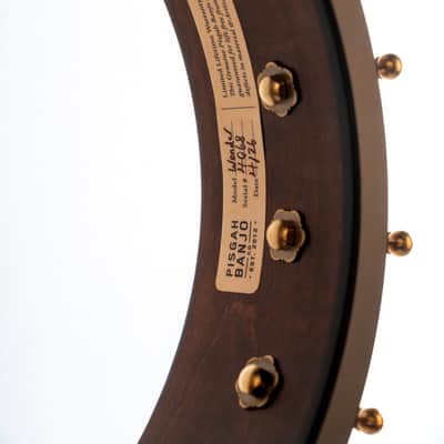 Pisgah Wonder 11" Open Back Banjo image 5