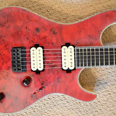 Mayones Regius 25th Anniversary image 2