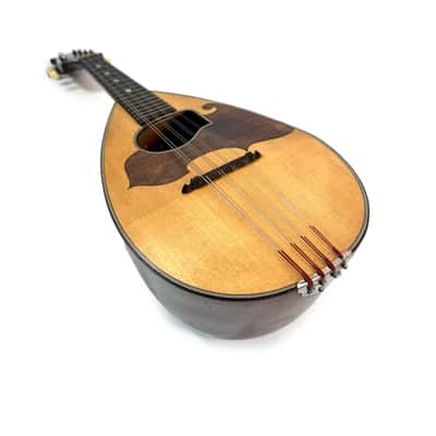 Neapolitan Mandolin G. Kasermann Style 1920's image 15