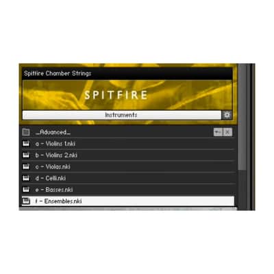 Spitfire Chamber Strings Professional 16 Players Kontakt (Activation Card) image 4