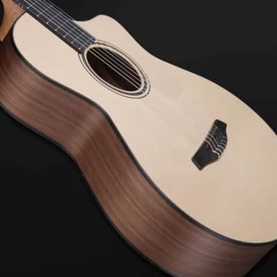 Furch classical guitar GNc 2-SW a (SPECIAL ORDER) image 8