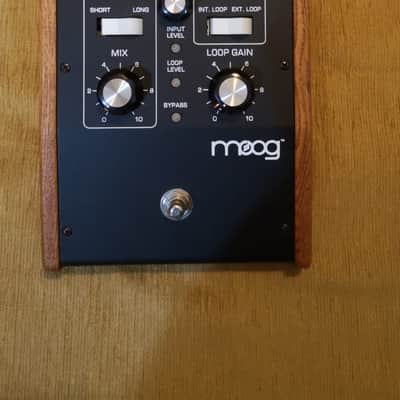 Moog Moogerfooger MF-104z Analog Delay mf104 mf 104 mf104z image 2