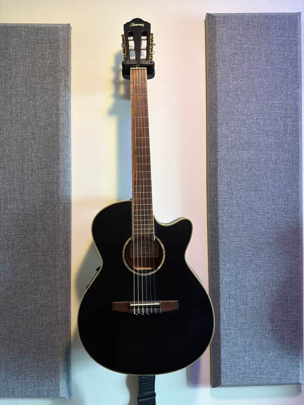 Ibanez AEG10NE Nylon Acoustic-Electric with Fishman Aura Pro Upgrade image 1