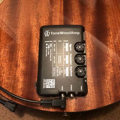 HONZ Tech ToneWood Amp for Acoustic Guitar image 4