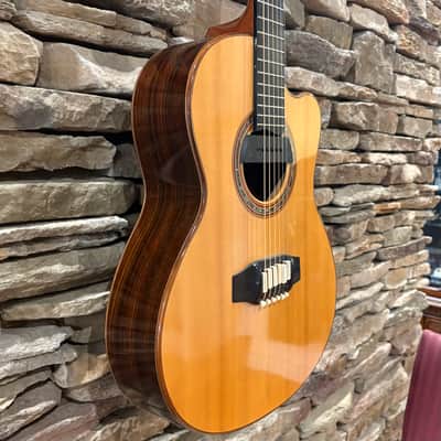 Linda Manzer Sitar Acoustic 1997 w/ Hardshell Case image 4