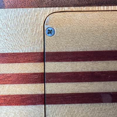 Alembic Custom EvH Signature Series II Superfilter image 19