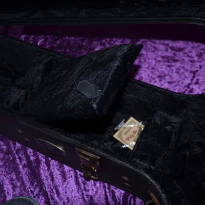 Breedlove guitar case for 00-sized, classical, OM-sized, guitars image 9