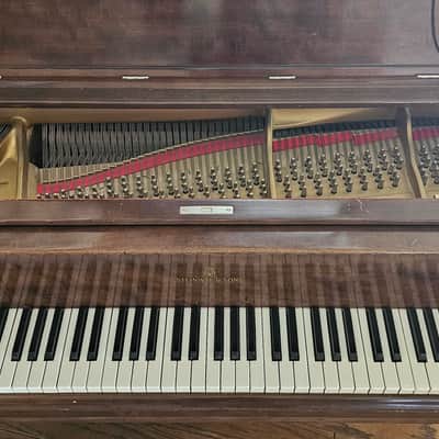 Steinway & Sons Model B Grand Piano Year 1916 image 5