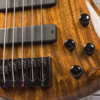 Roscoe SKB Custom 5 Walnut image 5