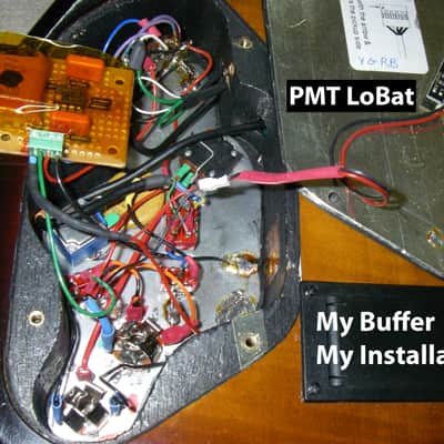 Jerry Garcia (Tiger) Unity Gain Buffer OBEL (handmade) image 4
