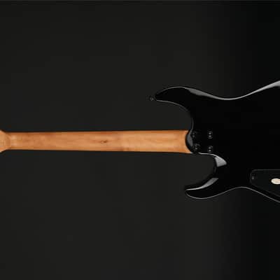 Schecter C-1 Standard in Back Fade Burst Burl image 4