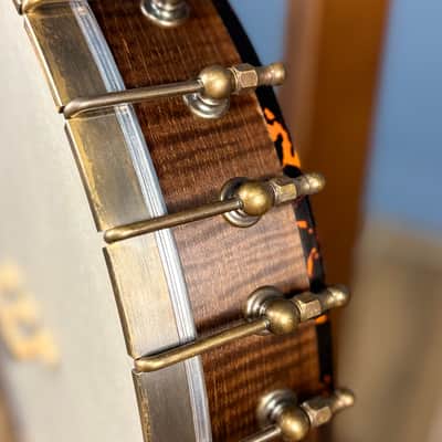Ode Fretless Walnut Magician Nylon 5-String Openback Banjo 12" image 8
