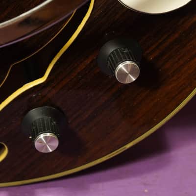 1960s Teisco-made Norma EG-673 Split-Coil Hollowbody Electric Guitar (VIDEO! Ready to Go) image 11