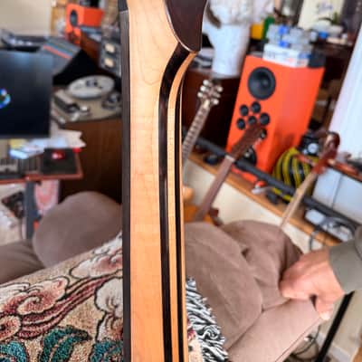 Alembic Classico 2012 Coco Bolo image 8