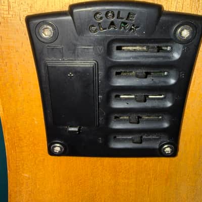 Cole Clark FL1AC 2013 image 3