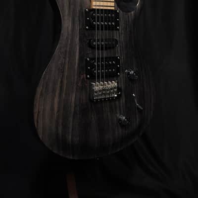 PRS SE Swamp Ash Special 2026 Charcoal image 6