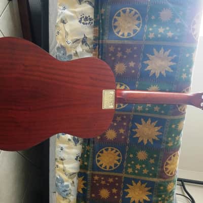 Thomas Pacconi Classical Guitar image 6
