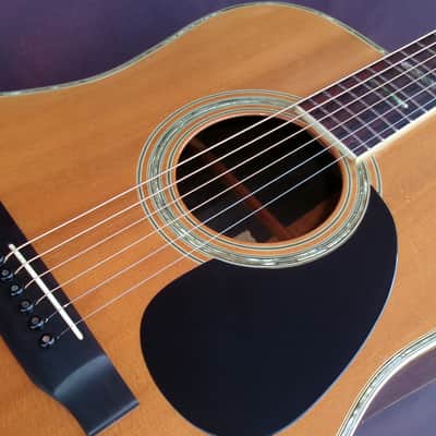 1976 Yairi YW-600 Dreadnought Guitar New Jacaranda + Yairi Hard Case image 19
