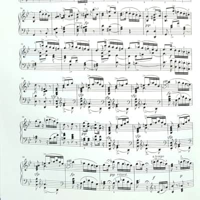 Piano Sonatas Volume I image 2
