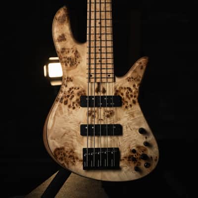 Fodera Emperor 5 Standard Special Poplar Burl 2023 image 1