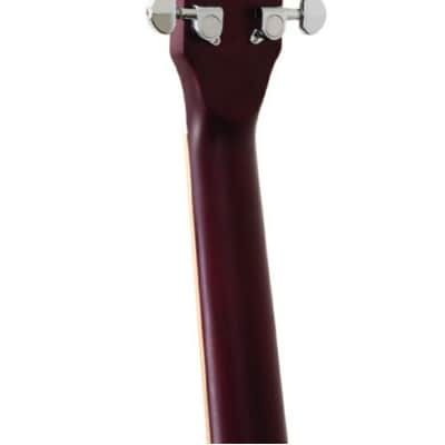 Washburn DFBDA Deep Forest Burl Dreadnought Acoustic Guitar. Amber Fade image 5