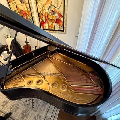 Steinway & Sons grand piano 85 keys image 13