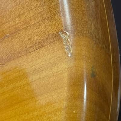 1976 Westminster PB380N Precision Bass, Birdseye Maple neck, Matsumoku, Made in Japan image 24