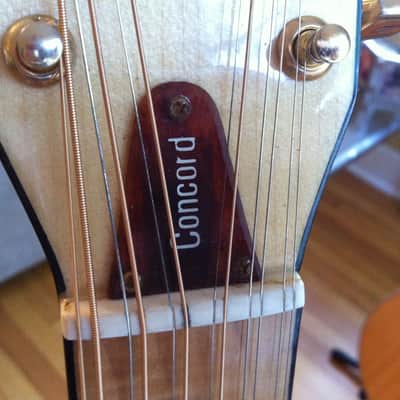 Ibanez Concord 670 12-string 1976 Maple image 14