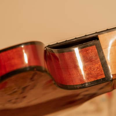 Rick Turner Rick Turner Model 1-C-LB Owned and Used by Lindsey Buckingham with Art Work Burgundy image 10