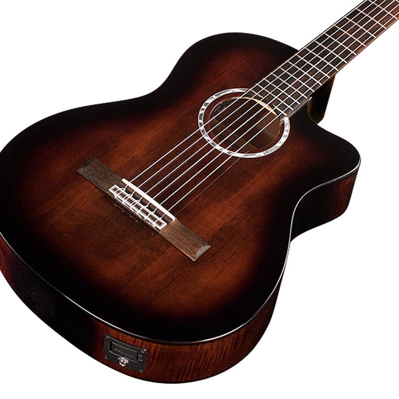 2020 – Present Cordoba Fusion 5 Classical with Electronics Son…