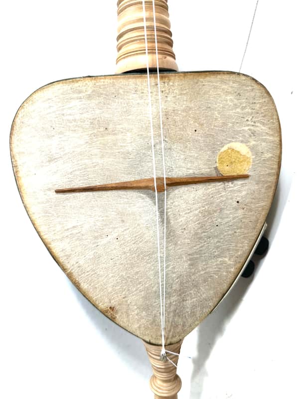 Electrified Indonesian Javanese Rebab bowed experimental instrument The Vulcan Harp 1960s - Maple image 1