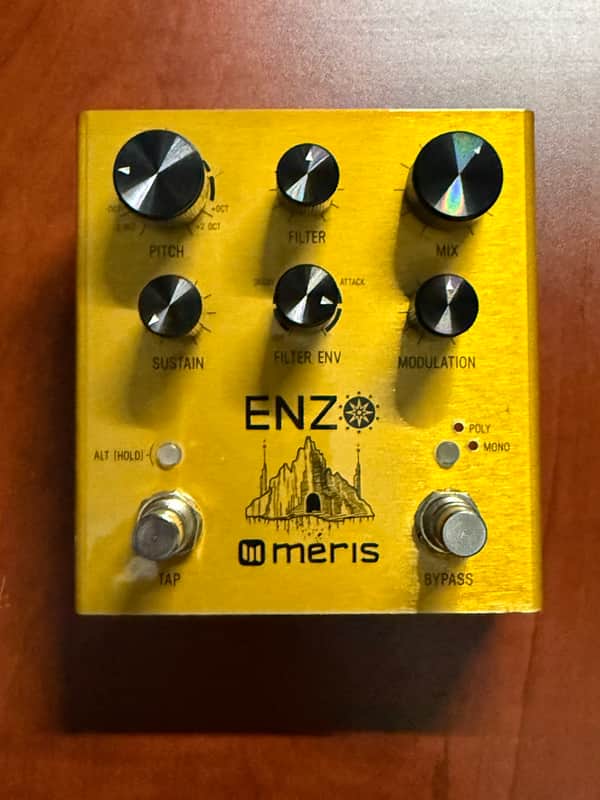 Immagine Meris Enzo 2018 - Gold - 1
