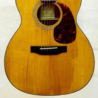 Guitare Acoustique Folk Recording King ROT16 Format 000 image 1