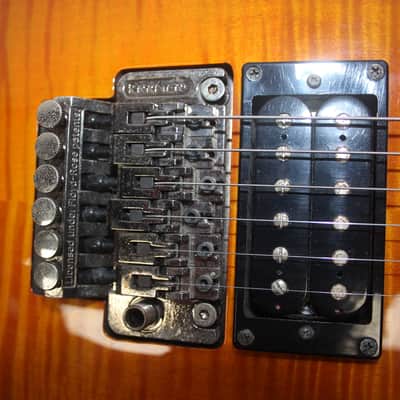 Kramer Striker 211 Custom 2010 - Fireburst image 9