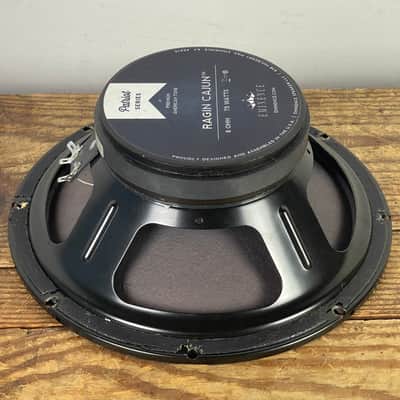 Eminence Patriot Ragin Cajun 10" 75w 8 Ohm Replacement Speaker image 8