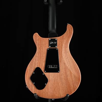 Paul Reed Smith DW CE 24 Floyd Dustie Waring Signature Black Top image 18