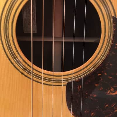 Schoenberg OMC soloist ES-15 by B. Sexauer 2006 Brazilian German image 8
