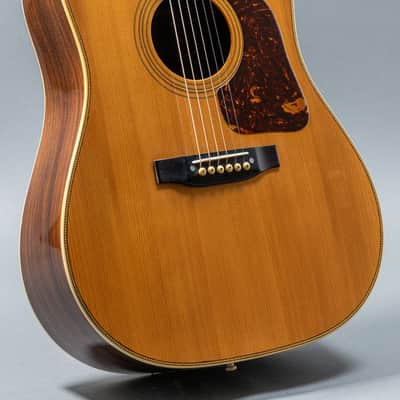 Gallagher G-70 1971, Natural image 3