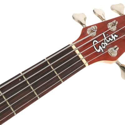 Godin BG-V BG5 5-String Active Electric Bass image 4