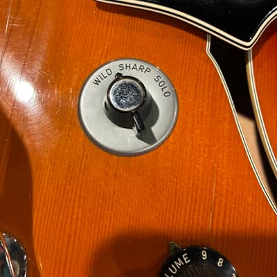 Wurlitzer Model 7742 1970's Sunburst image 5