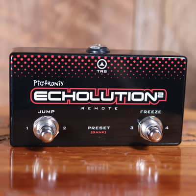 Pigtronix Echolution 2 Delay with E2-R Echolution 2 Remote foot switch image 5
