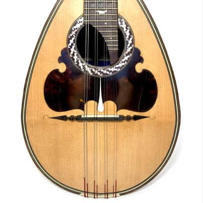 Concert Mandolin Raffaele Calace (Nicola Maria Calace) from 1902 image 2